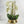 Lifelike Faux Orchid In Golden Ceramic Planter - Realistic Green Leaves & White Flowers For Home Decor