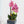 Elegant Pink Faux Orchid In Rustic Cement-Like Polyresin Planter, Realistic Desk And Shelf Decor