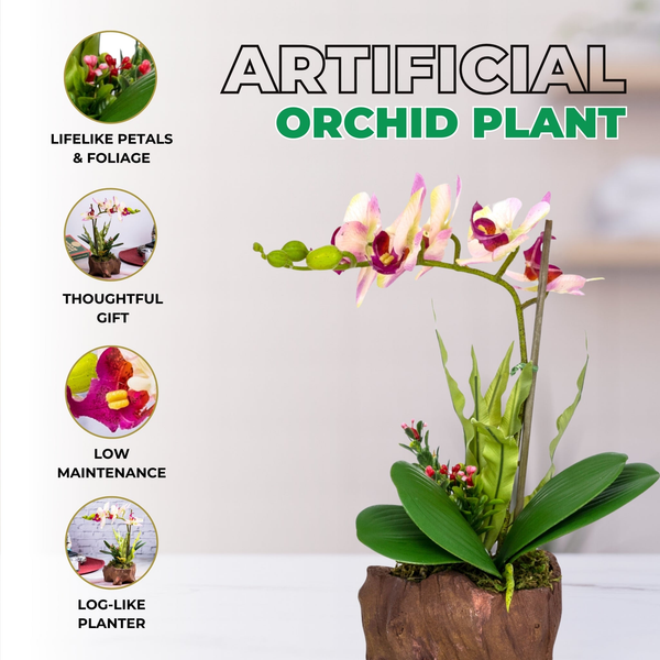 Faux Orchid, Velvet Touch in Wood Log Like Planter, Indoor Fake Plant