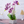 Fake Orchid Plant, Velvet Touch, With Brick Wall Like Planter, Indoor Fake Plant