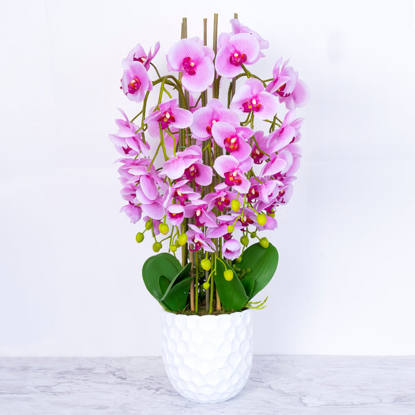 Large Faux Orchid Plant in White Base Planter, Beautiful Artificial Plant, 80 cm High by Accent Collection Home Decor