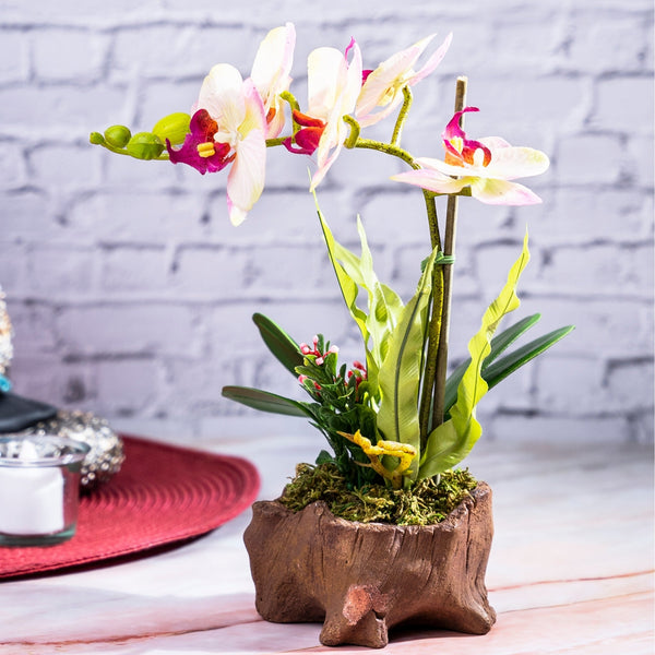 Faux Orchid, Velvet Touch in Wood Log Like Planter, Indoor Fake Plant by Accent Collection Home Decor