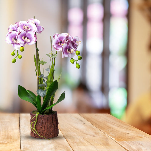 Faux Orchid Plant, Velvet Touch, With Rustic Wooden Log Like Planter, Indoor Fake Plant by Accent Collection Home Decor