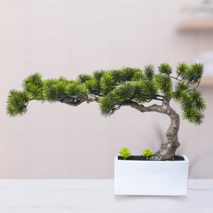 Green Faux Bonsai Pine Tree, Realistic Plastic Plant With White Ceramic Base For Home Decor by Accent Collection