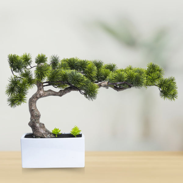 Green Faux Bonsai Pine Tree, Realistic Plastic Plant With White Ceramic Base For Home Decor by Accent Collection