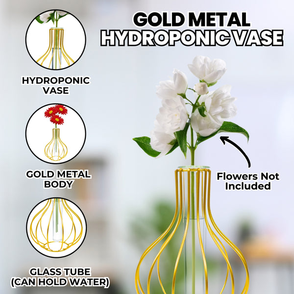 Gold Metal Hydroponic Flower Pot with Glass Propagation Tube for Living Room, Indoor Gardening 7 inch 17 cm