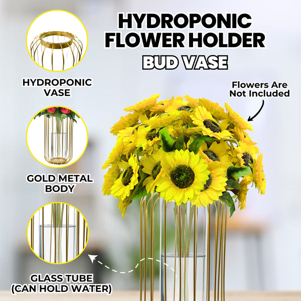 Gold Hydroponic Vase, Minimalist Pot for Bud or Dry Flowers, Propagation Tube Terrarium Planter 11in 27cm by Accent Collection