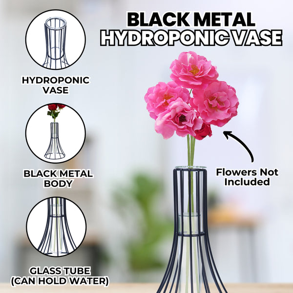 Hydroponic Terrarium Propagation Vase, Tabletop Centerpiece Home Decor, Indoor Garden, Black Metal Body, Glass Tube 7 inch 17 cm