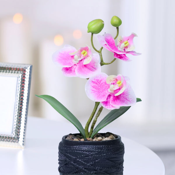 Small Pink Orchid Faux Flowers with Black Cement Pot, Artificial Plant Indoor, 9in, 3cm Handmade, Housewarming Gift by Accent Collection