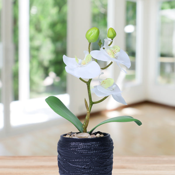 Handmade Small White Artificial Flowers, Fake Orchids with Black Cement Pot 9in or 23cm, Housewarming Gift by Accent Collection