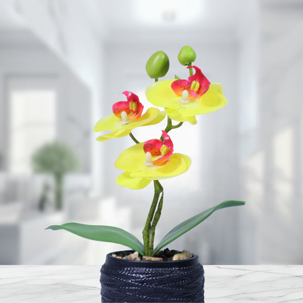 Small Yellow Artificial Orchid with Black Cement Plant Pot, Rustic Table Decor, Handmade 9in or 23cm by Accent Collection