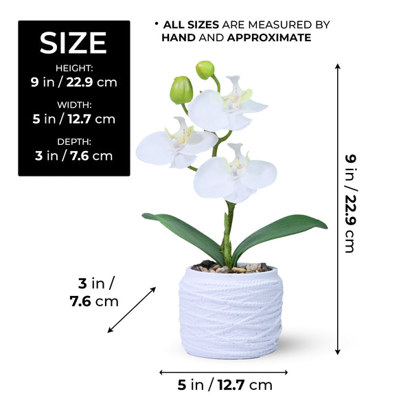 Faux White Orchid in White Cement Pot for Home or Office Decor, Handmade, Cute Gift Idea 9in 23cm by Accent Collection