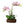 Lifelike Pink Orchid Faux Plant In Wooden-Like Resin Planter - Realistic Green Leaves & Flowers by Accent Collection