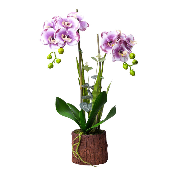 Faux Orchid Plant, Realistic Touch, With Rustic Wooden Log Like Planter, Artificial Flowers for Home or Office Decor, Indoor Fake Plant, Housewarming Gift
